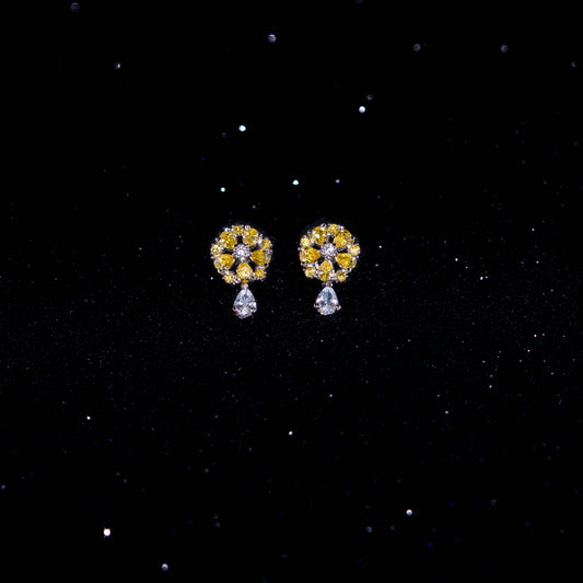 Taxi Earrings