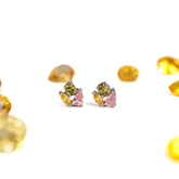 Tutti Fruiti Earrings