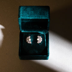 Pearl Shell Earrings